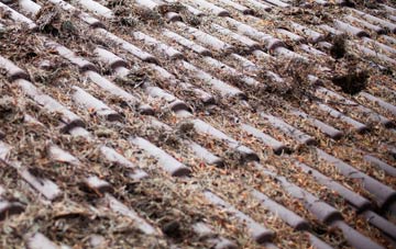 Bunloit roof cleaning companies